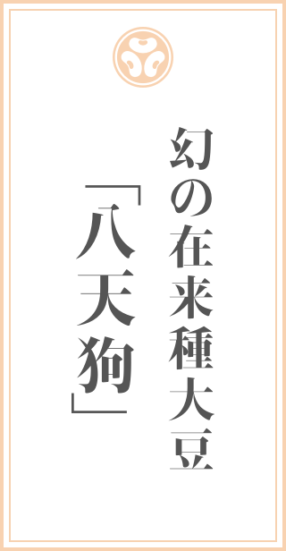 幻の在来種大豆「八天狗」