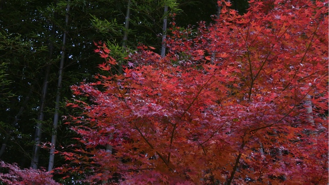 ようこそ！熊本県山都町水増へ